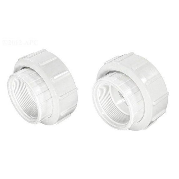 Pentair Adapter Kit Union 2in. FPT Wg PKG 189