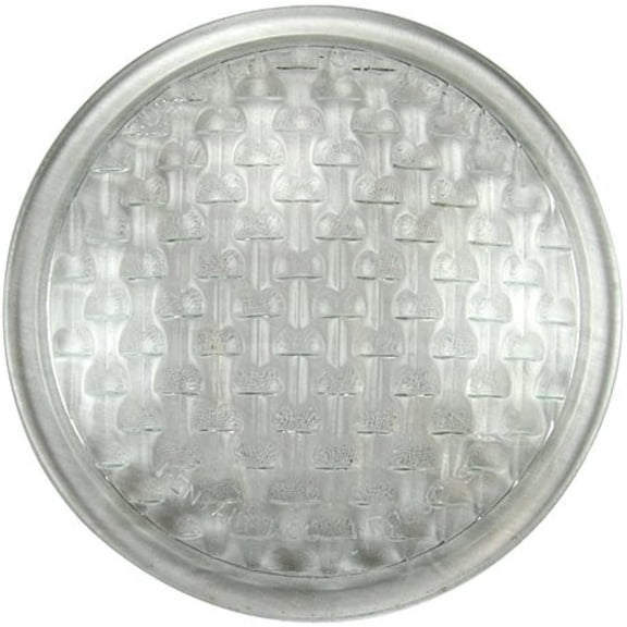 Pentair PEN DK LIGHT LENS 8 IN AP 7910 79100100