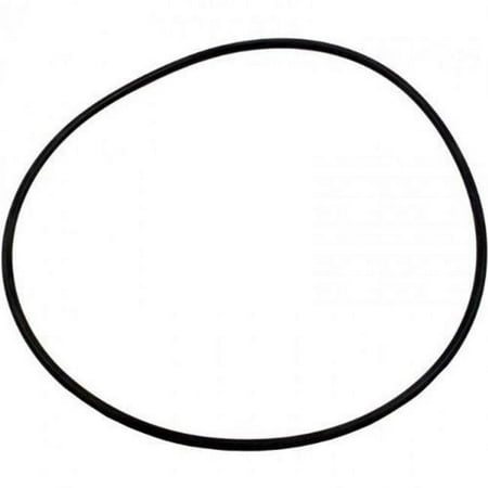 Pentair Aquatic Systems 14971-SM20E7 Cover O-Ring Replacement