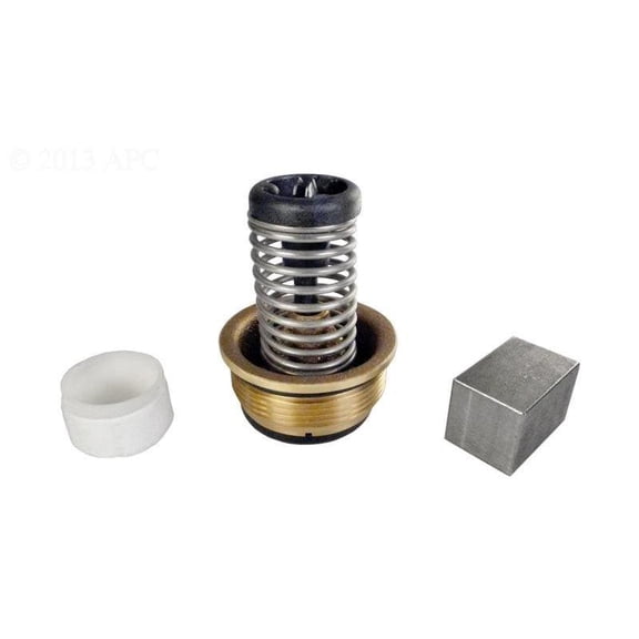 Pentair Bypass Valve Kit for Max-E-Therm-MasterTemp ASME 460923