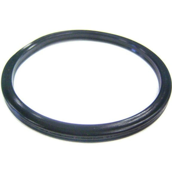 Pentair Challenger Pump Diffuser O-Ring