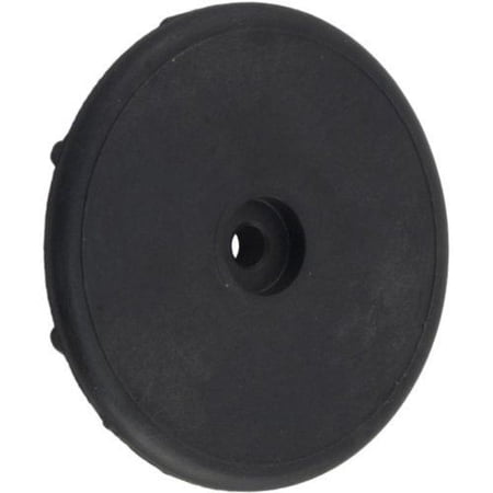 Pentair 77707-0009 Display Cover Retainer Cap