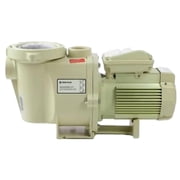 Pentair EC-015583 - WhisperFlo High Performance 1 HP Pool Pump
