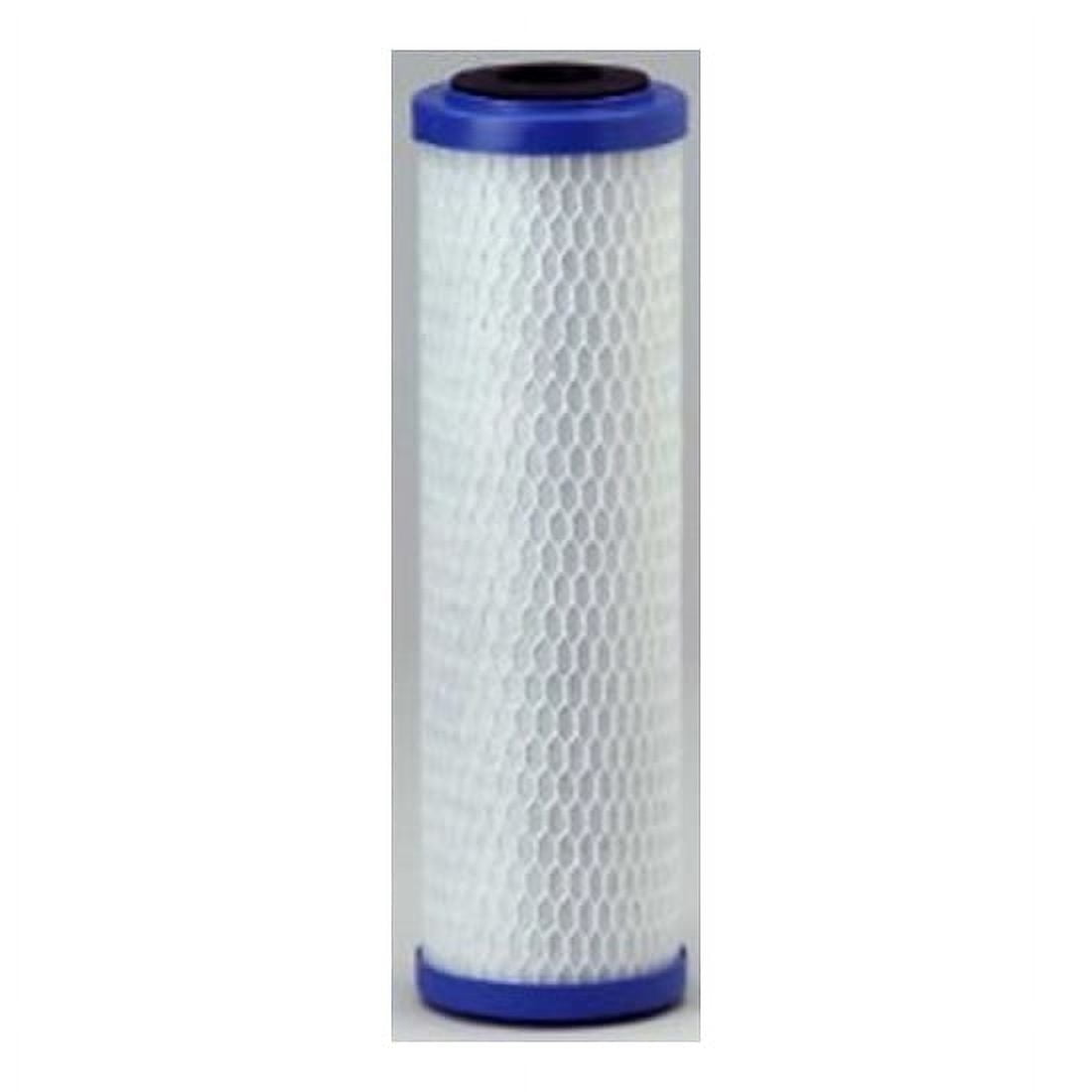 Pentek 10-Inch White and Blue Carbon Block Water Filter