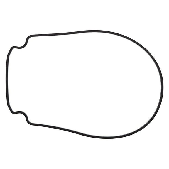 Pentair Seal Plate Gasket (Black)  WhisperFlo / IntelliFlo Pumps || 357100Z