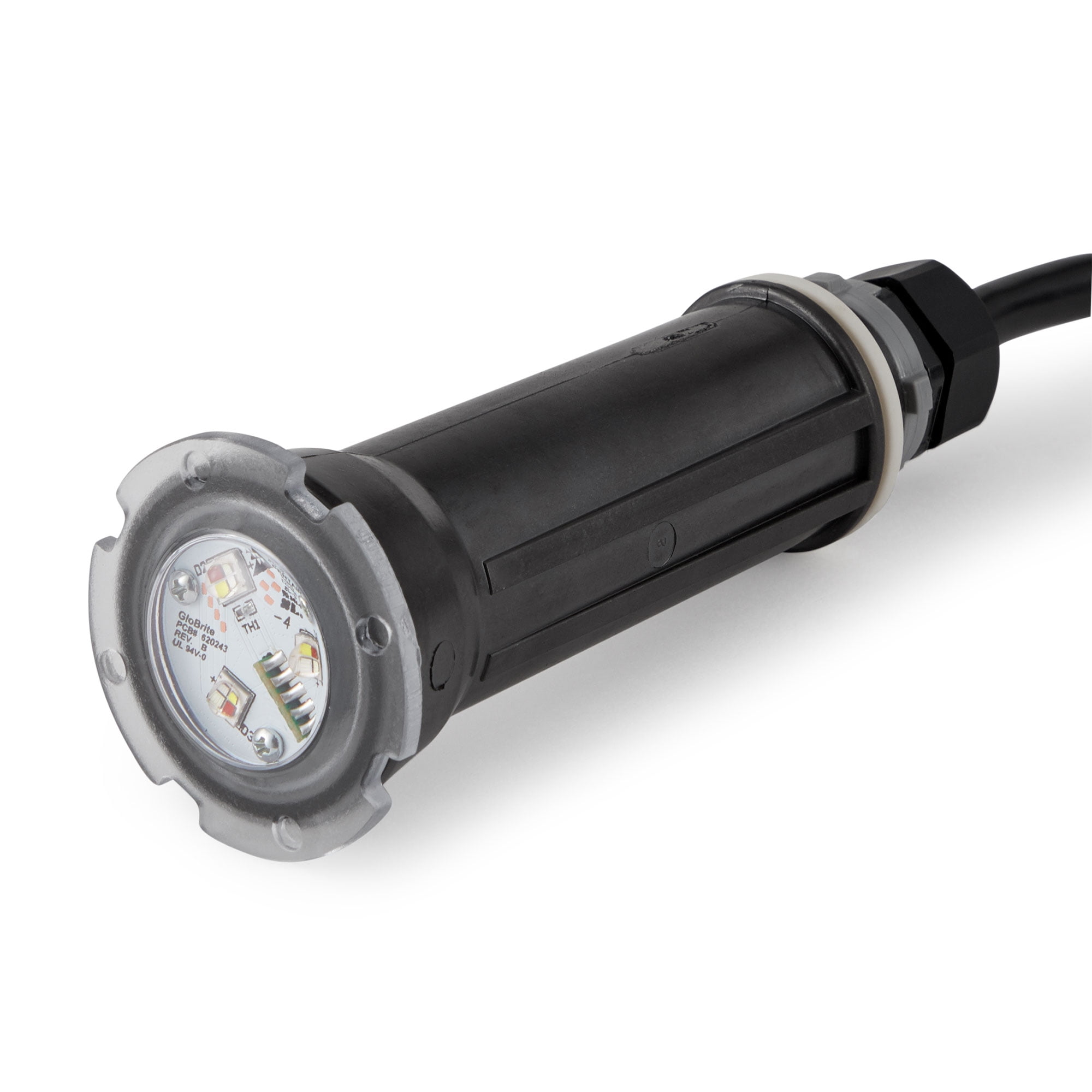 Pentair Black LED Pool Light with 100' Cord