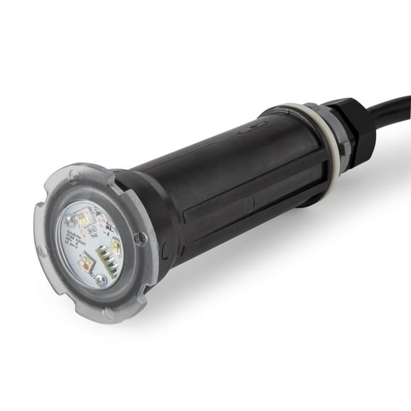 Pentair GloBrite Swimming Pool Bright LED 12V 100' Cord Water Light | 602055