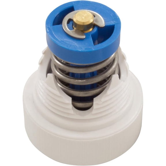 Pentair LX25 Wall Fitting Pressure Relief Valve - White