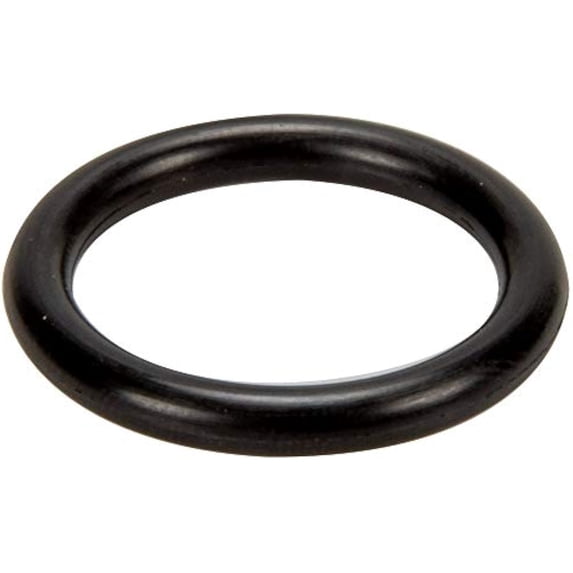 Pentair MPV Stem O-Ring