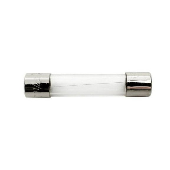 Pentair 32850-0099Z MasterTemp 1.25A Fuse