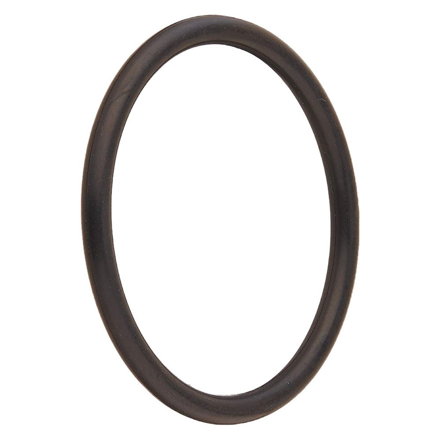 Pentair Adapter O-Ring – Ersatz Für Pool-/Spa-Filter & Heizungen