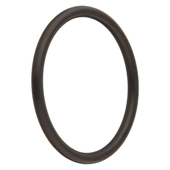 Pentair 274494 Adapter O-Ring Replacement Pool/Spa Filter, Heater and Valve