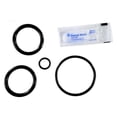 thumbnail image 1 of Pentair 273109 Noncorosive Slide O-Ring Replacement Kit, 1 of 3