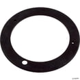 thumbnail image 1 of Pentair 355317 Mount Plate Replacement Specialty and Swimming Pool Inground Pump, 1 of 2