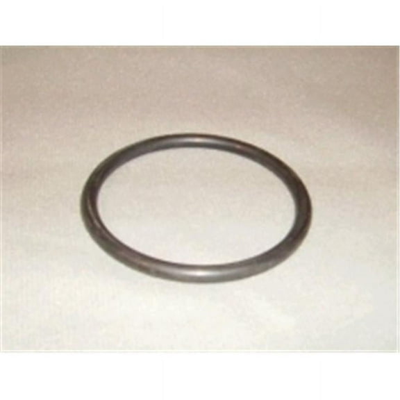 Pentair 154492 2-Inch Bulkhead O-Ring Replacement Pool and Spa Sand Filter