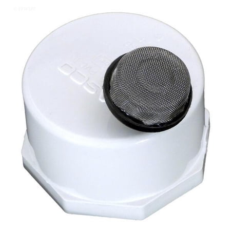 Pentair 274411 Strainer Assembly