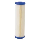 Pentair/Pentek 255483-75 Pleated Filter Cartridge, 10 Gpm, 20 Micron, 2-7/8"
