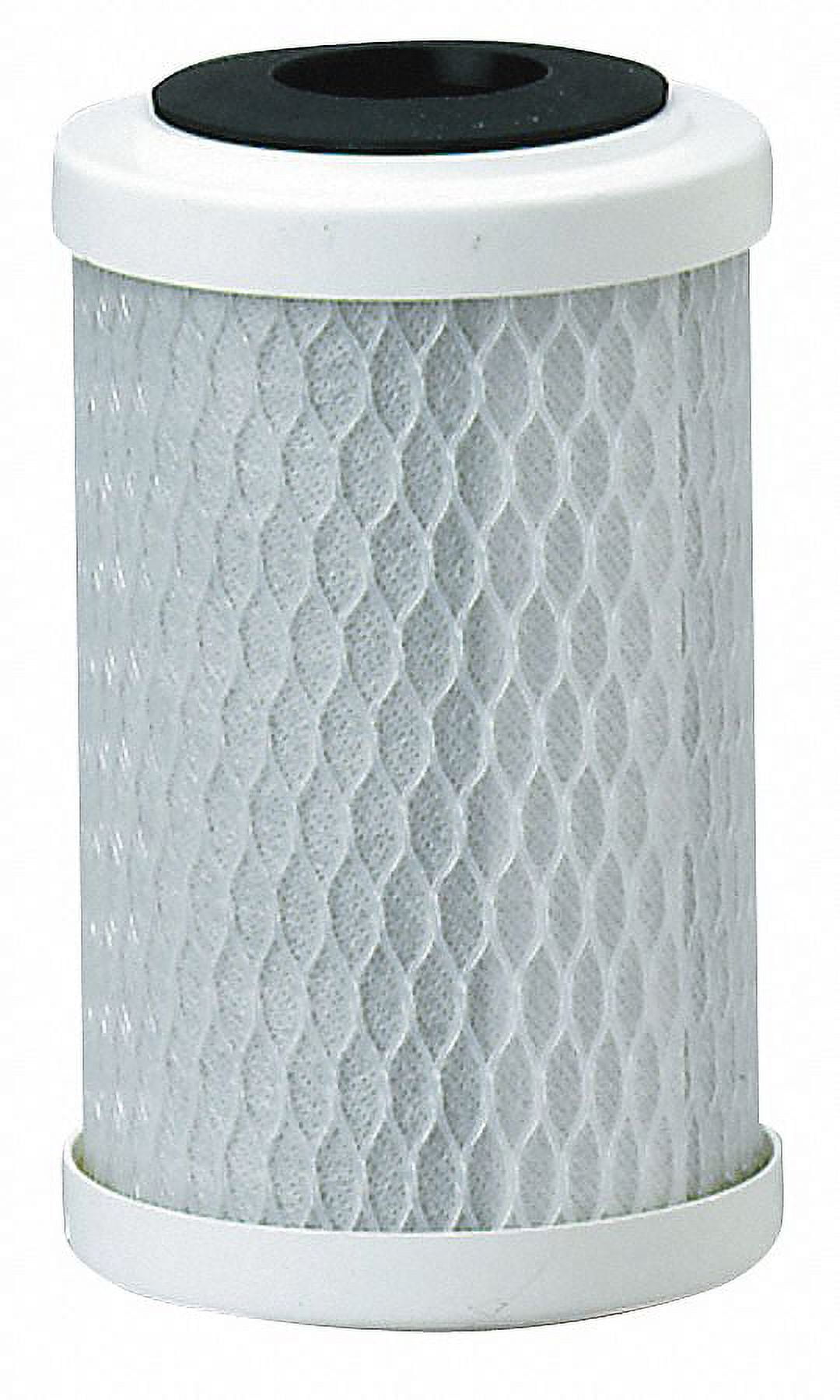 Pentek 5-Inch Carbon Block Water Filter Cartridge