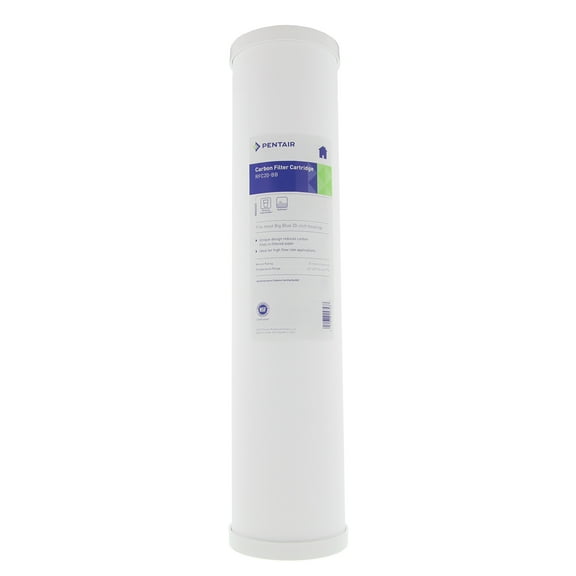 Pentair Pentek RFC20-BB 20" Big Blue Whole House Granular Carbon Sediment, Taste & Odor Water Filter - 25 Micron