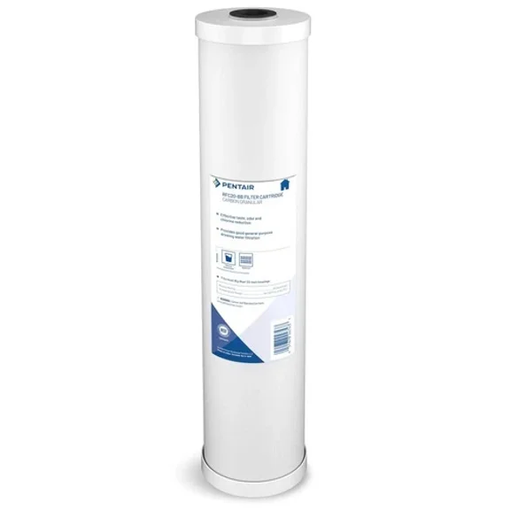 Pentair Pentek RFC-20BB Big Blue Carbon Water Filter, 20-Inch, Whole House H...