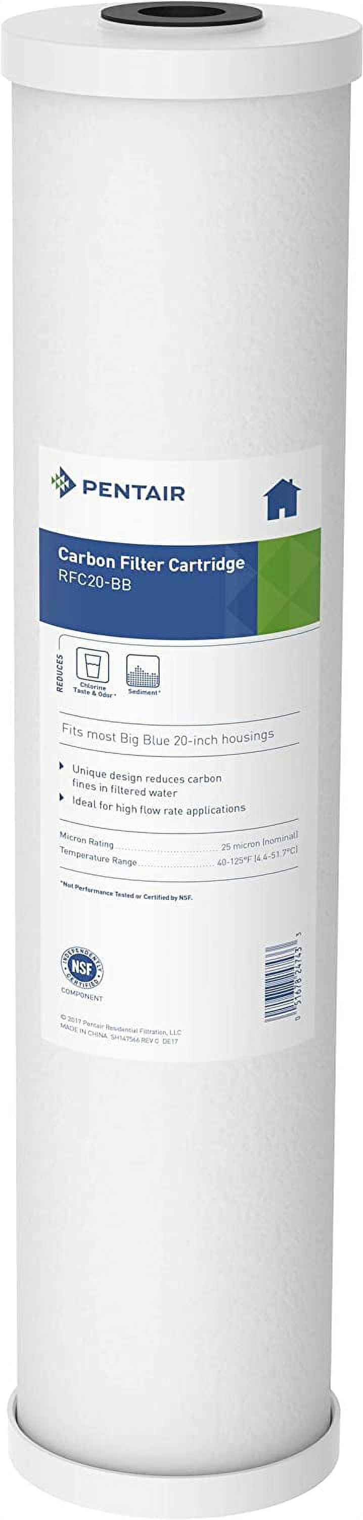 Pentair Pentek RFC20BB Big Blue Carbon Water Filter 20Inch Whole