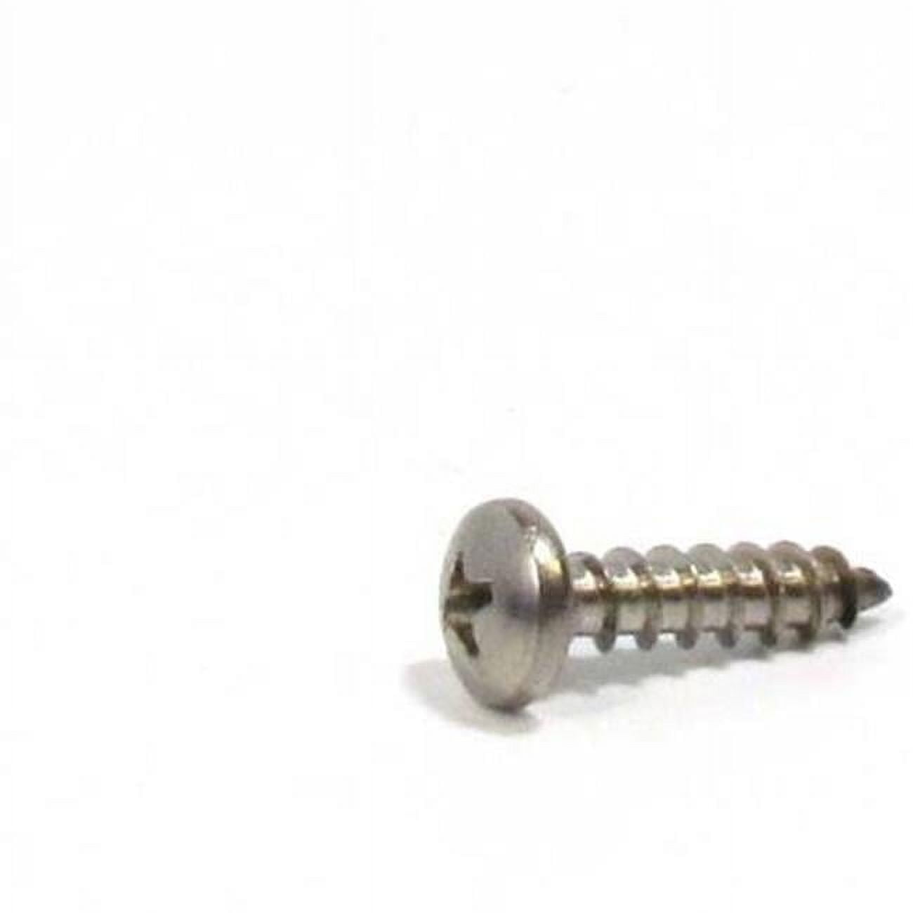 Pentair R01023 #10 Stainless Steel Shaft Retainer Screw
