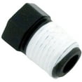 thumbnail image 1 of Pentair R172007 0.25" NPT Plug for Pool & Spa Filter and Feeder, 1 of 2