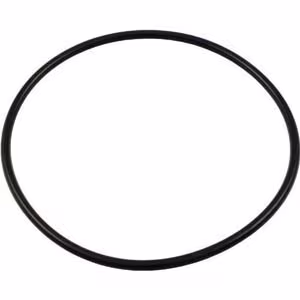 Pentair R172223Z #360 Abs Buna O-Ring