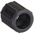 thumbnail image 1 of Pentair R172274 Compression Nut Replacement Pool and Spa Automatic Feeder, 1 of 2