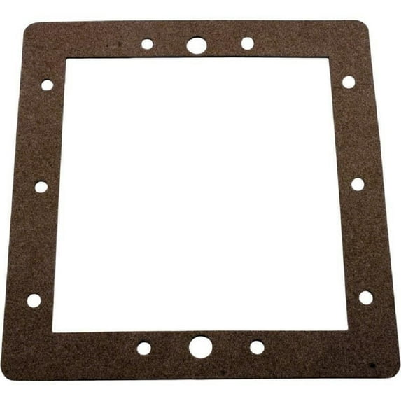 Pentair R172471 Front Face Plate Gasket