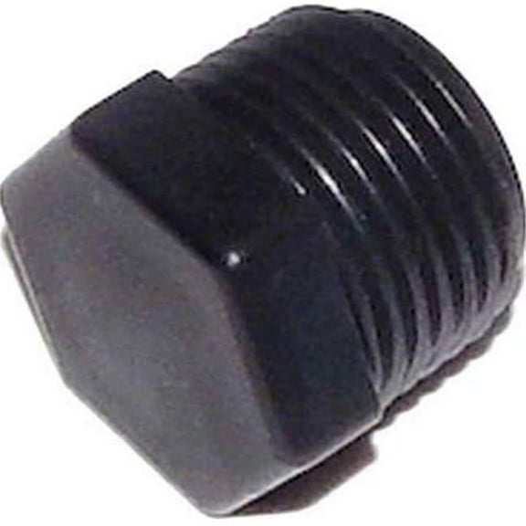 Pentair Rainbow R172134 0.5 in. NPT Plug