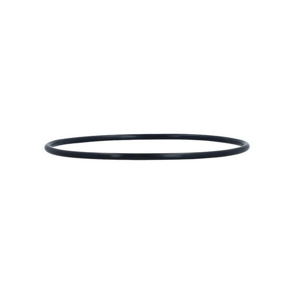 Pentair R172223 Housing O-Ring Replacement Pool/Spa Filter and Leaf Traps