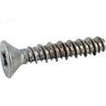 thumbnail image 1 of Pentair Rainbow R172474 13 - 16 x 1.25 in. Replacement Part Screw, 1 of 2