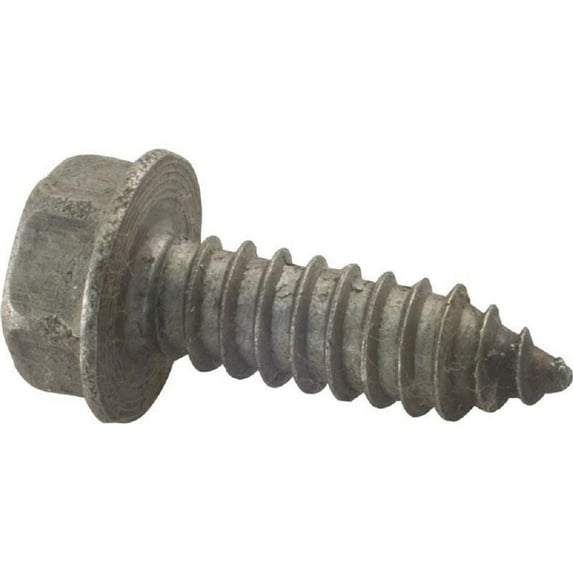 Screw, Pentair Sta-Rite, 5/16-14 x 1"