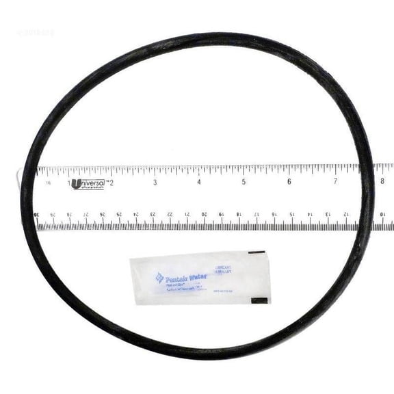 pentair 25200-0011s o-ring tank lid with silicone lube replacement sta-rite aboveground pool and spa filter