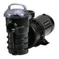 thumbnail image 1 of Pentair Sta-Rite 340197SR 1HP 115V Dynamo Single Speed Pump w/ 3' Standard Cord, 1 of 1