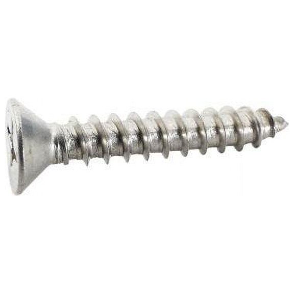 Pentair Sta-Rite 37207-0430 #8 x 1" Stainless Steel Screw