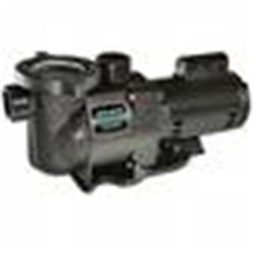 Pentair Sta-Rite N1-1A HP SuperMax Standard Efficient Single Speed High Performance Inground Pool Pump, 1 HP, 115/230-Volt