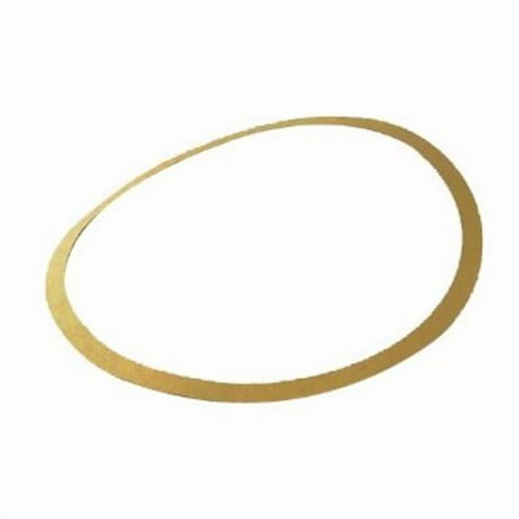 Pentair Sta-Rite N20-35 Seal Plate Gasket