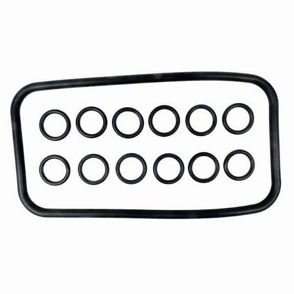 O-Ring, Kit Pentair MasterTemp/Max-E-Therm, Manifold