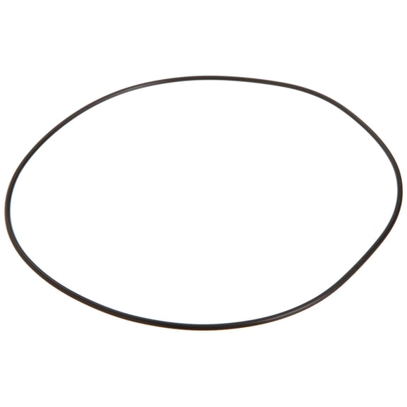 Pentair Sta-Rite U9-365 70 Duro O-Ring