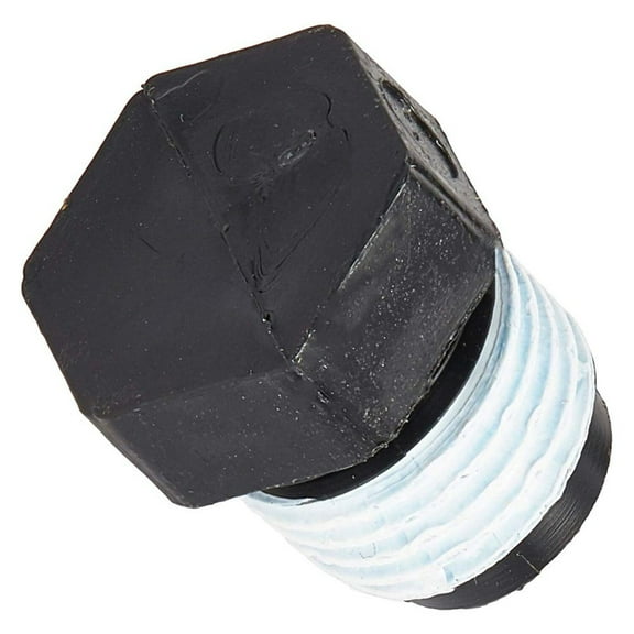 Pentair Sta-Rite WC78-40T 1/4" NPT Plug Replacement Valve and Filter