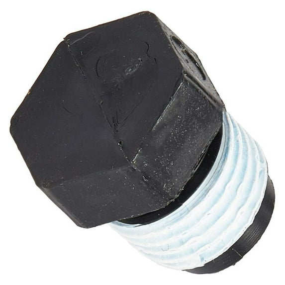 Pentair Sta-Rite WC78-40T 1/4" NPT Plug Replacement Valve and Filter