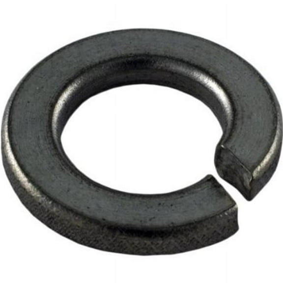 Pentair U43-12SS 0.38" Lock Washer