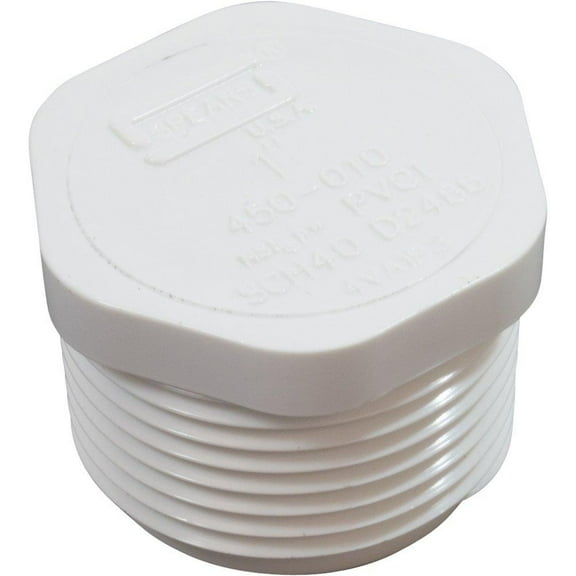 Pentair U78-830PT 1" Npt Taped Pipe Plug