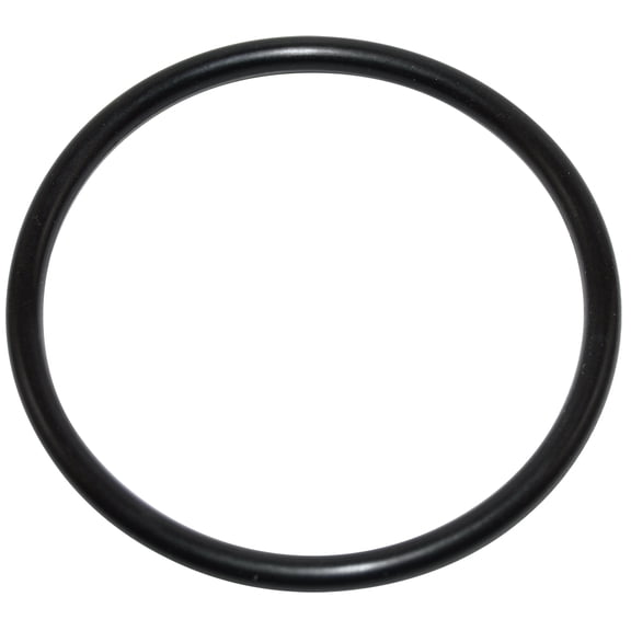 Pentair PLM Filter System O-Ring, Union (JWP) || U9-226Z