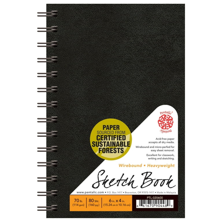 Mini Sketch Book: Travel Size Notebook Drawing Pad for Kids, Adults, and  Professionals | V6