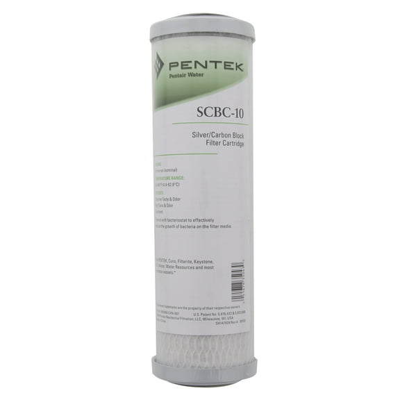 Pentek 155350-43 Carbon Filter