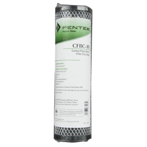Pentek 255679-43 Carbon Filter