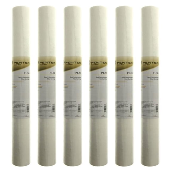 Pentek Whole House Filter Replacement Cartridge - 20 in.